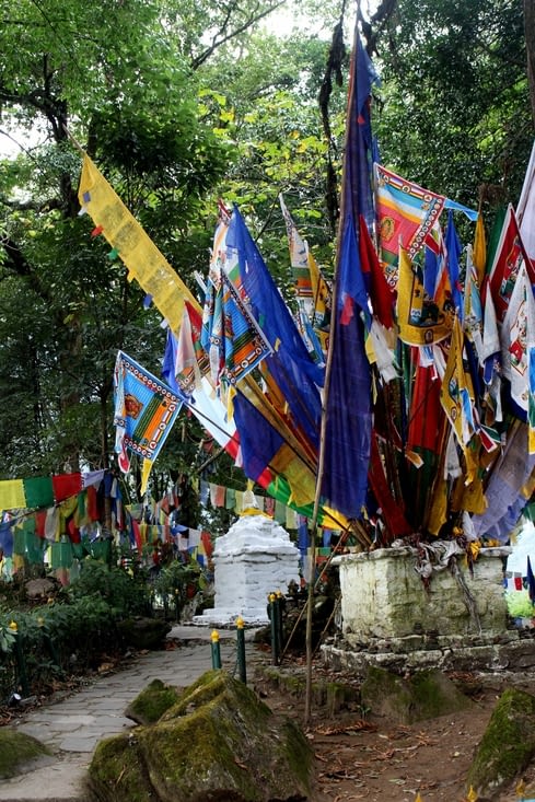 le jardin plein de drapeaux