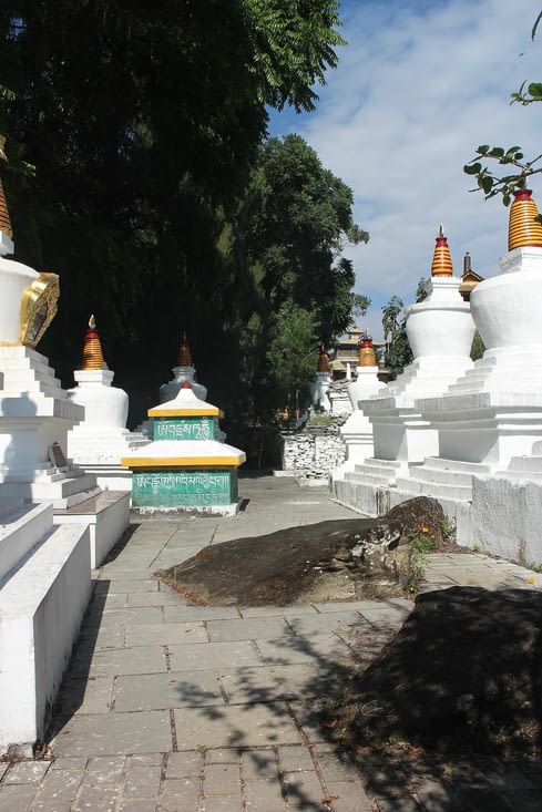 la forêt de chortens