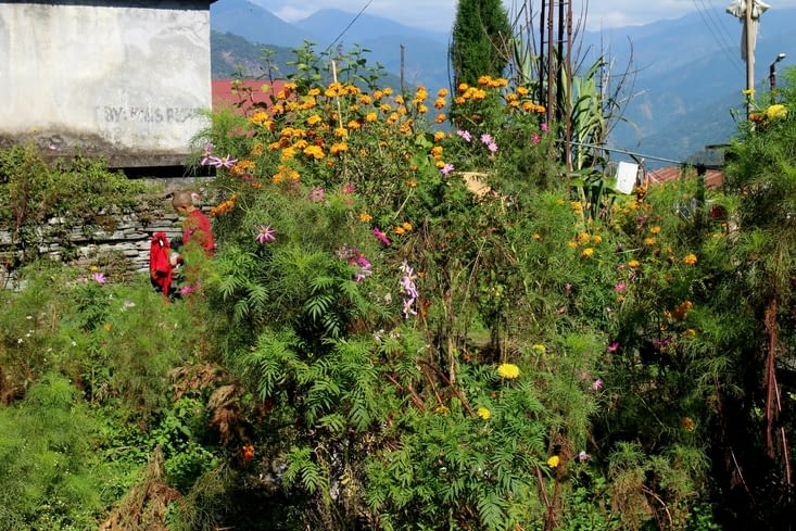 Les jardins du monastère de Tashiding