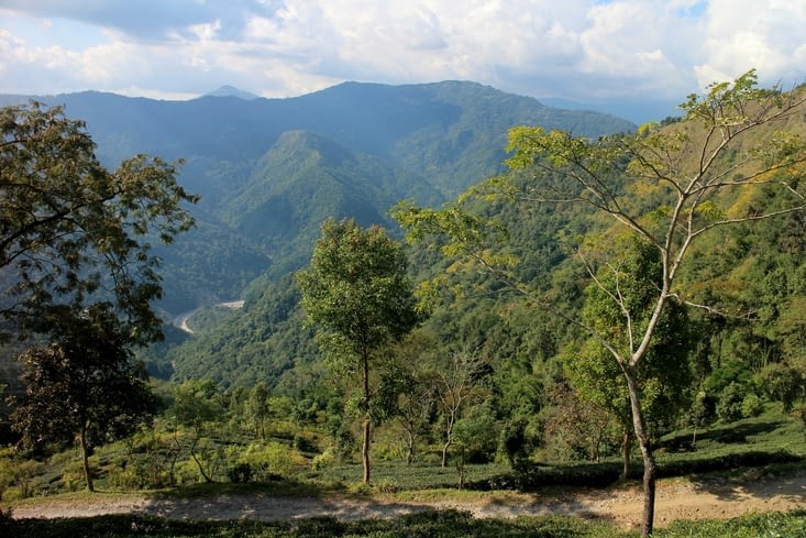 un paysage magnifique