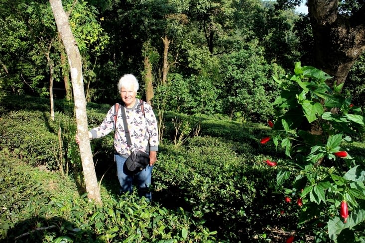 Je pose dans le champ de thé