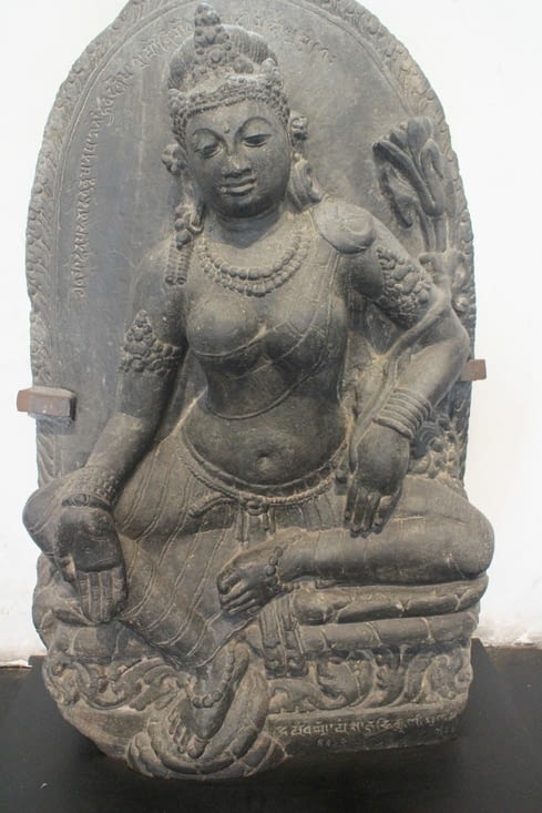 Dans l'Indian Museum