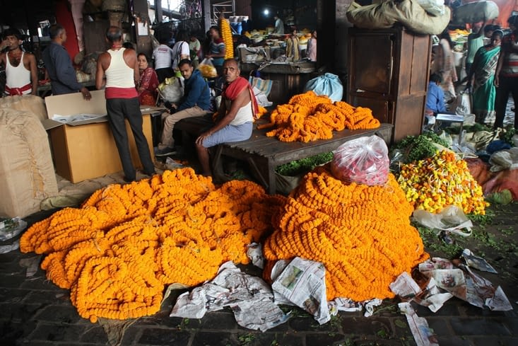 le marché aux fleurs
