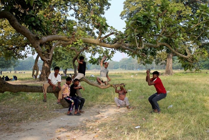 Sur Maidan, des jeunes gens s'amusent à se balancer sur un arbre