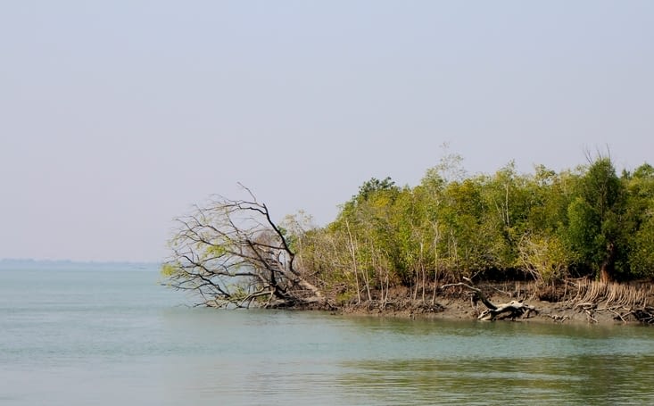 Au confluent des 5 rivières