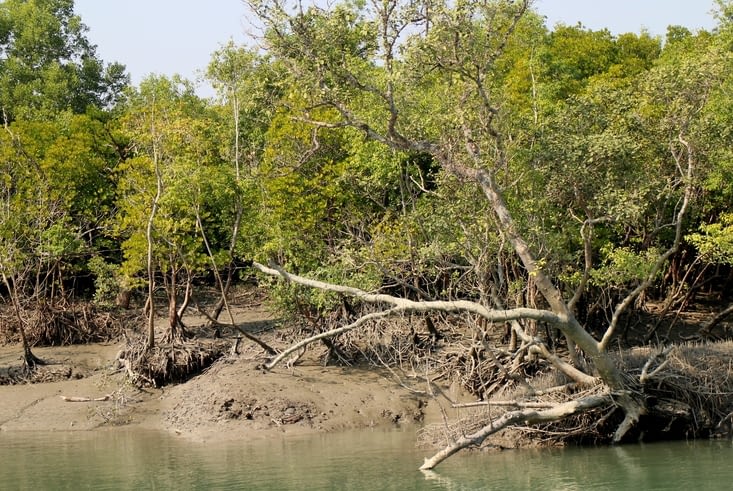 les paysages traversés