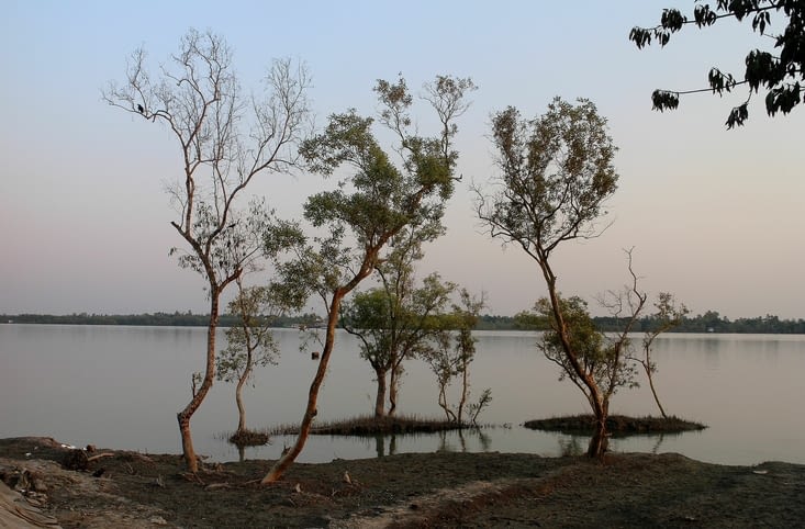promenade au coucher du soleil