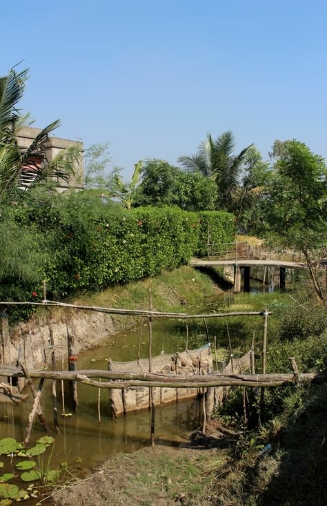 un petit pont rudimentaire