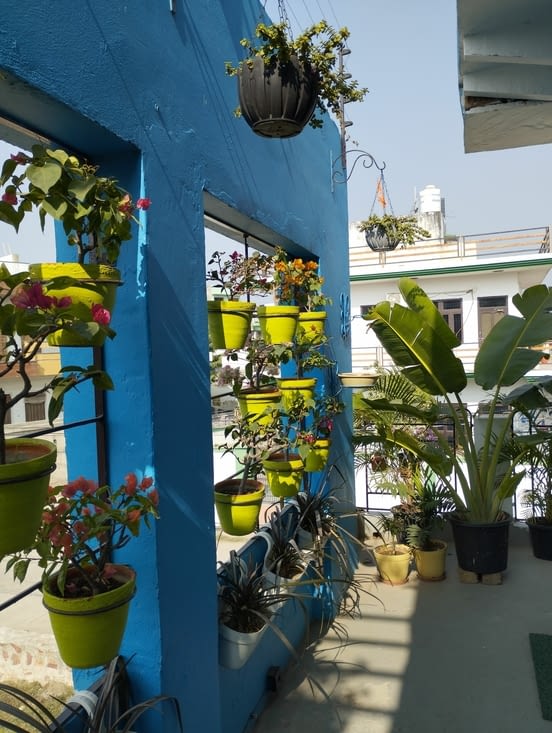 la guesthouse Iora