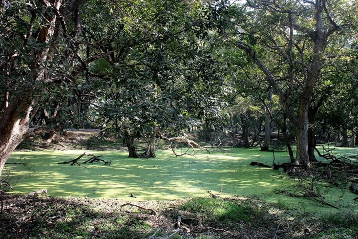 Le Bird Sanctuary