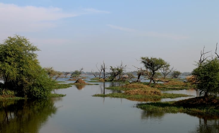 Le Bird Sanctuary