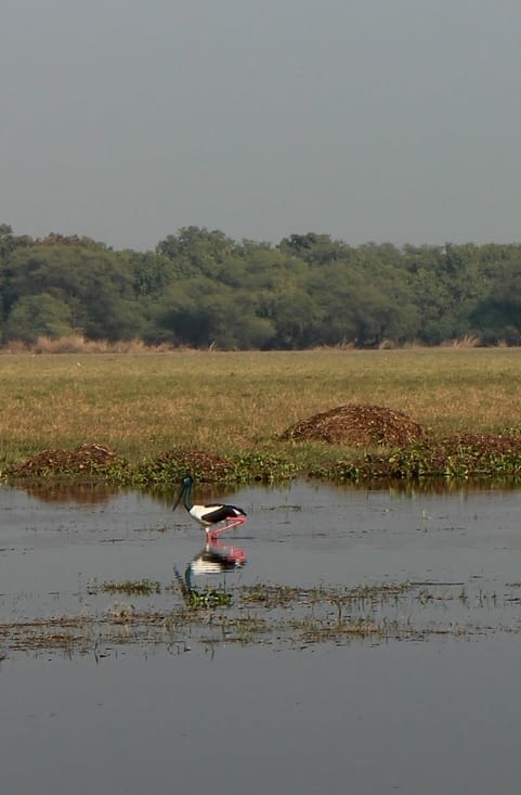 Le Bird Sanctuary