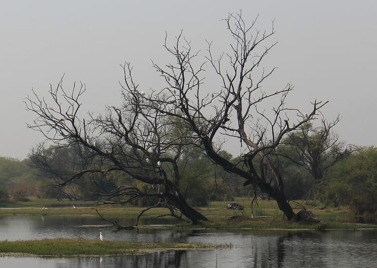 Le Bird Sanctuary