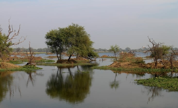 Le Bird Sanctuary