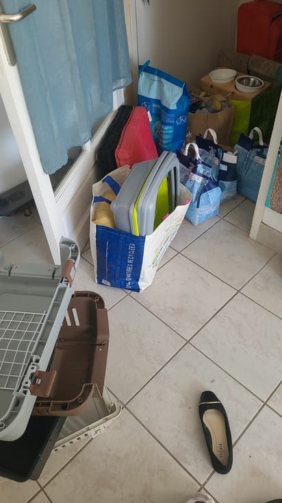 Tout ça pour les chats !