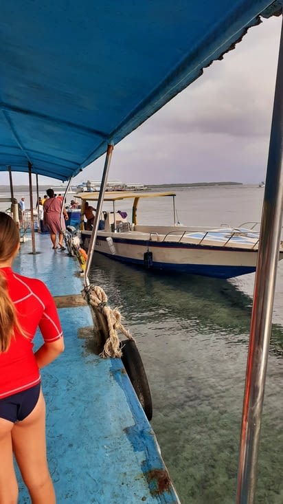 Port depart snorkeling