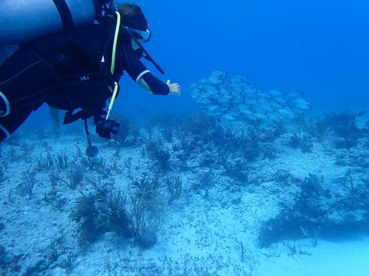 "bouchon droit devant"