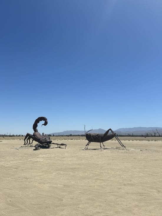 Sculpture géantes au milieu du désert d’Anza