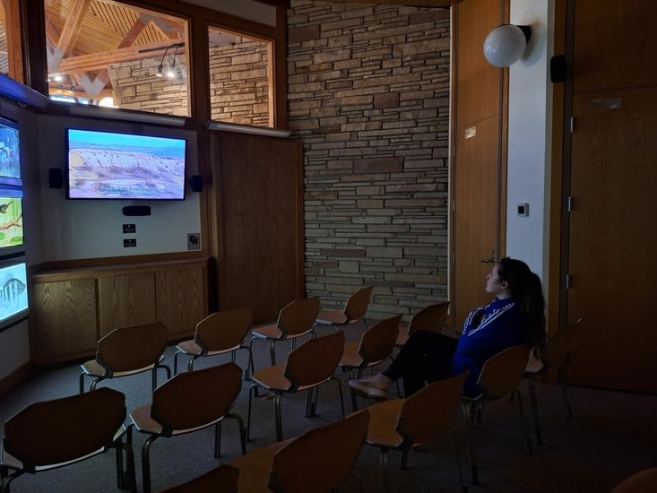 Les explications sur les fossils en film