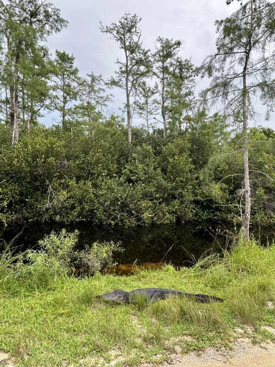 Un p’tit dernier pour la route