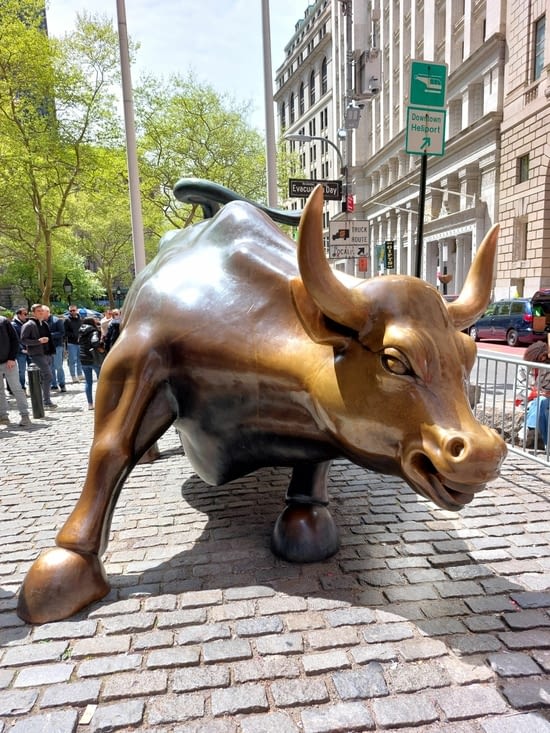 Charging Bull