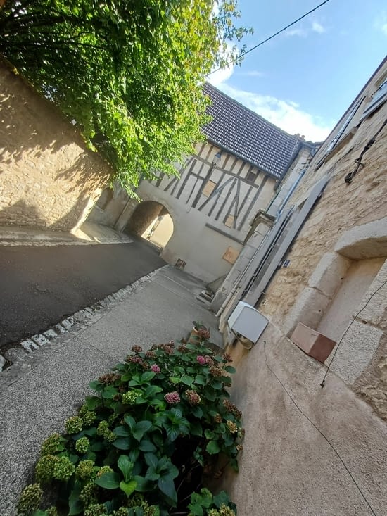 Arche