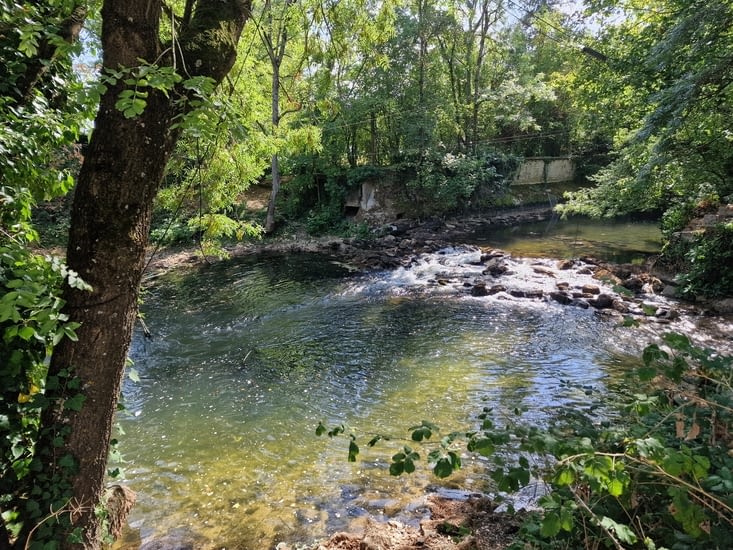 Petit court d'eau à côté de l aire