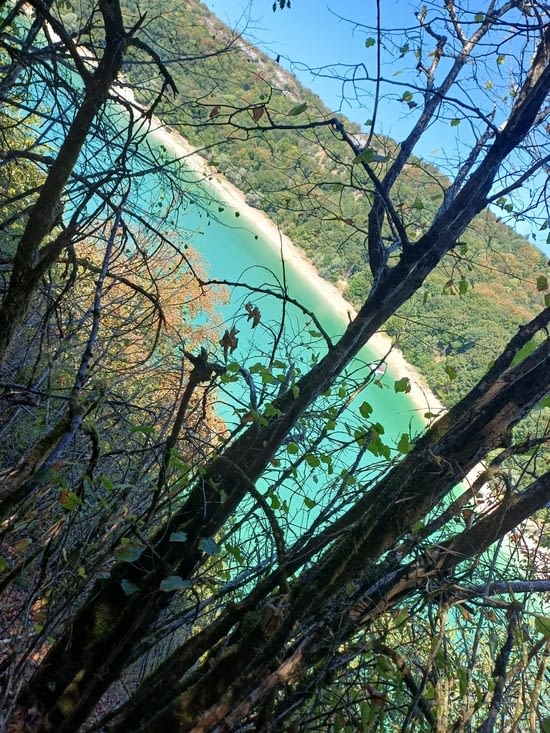 Le lac vu de la fôret