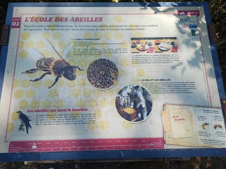 L'école des abeilles
