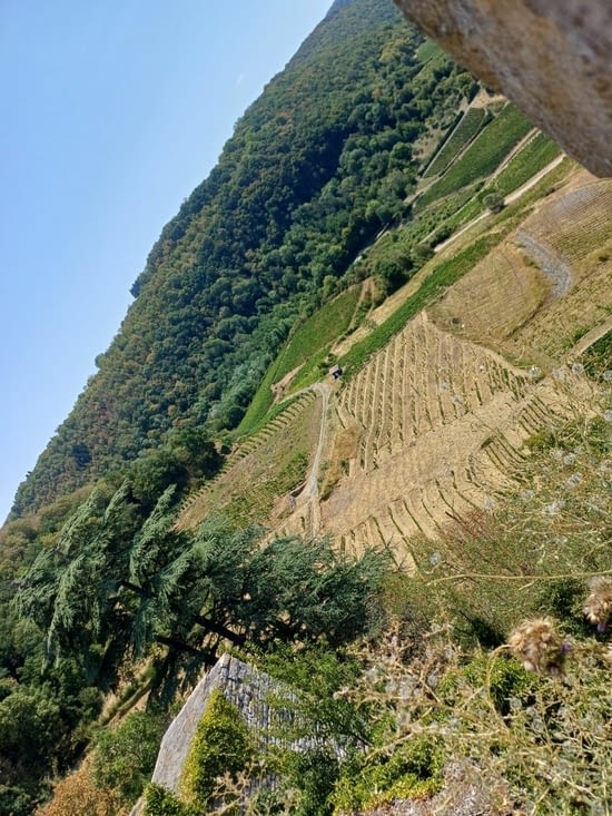 La vue
