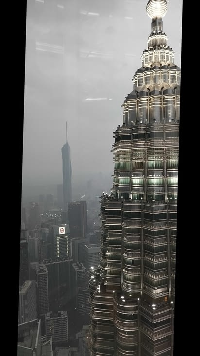 Vue du haut des tours