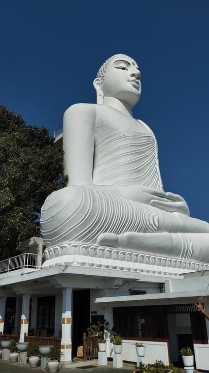 Sri maha bodhi viharaya