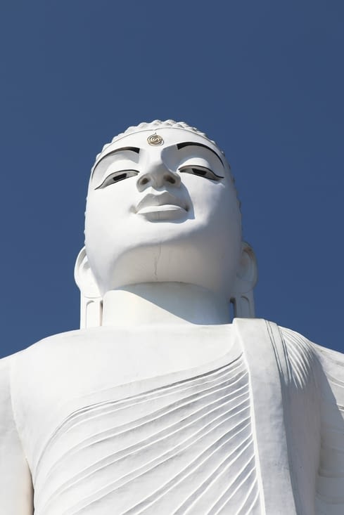 Sri maha bodhi viharaya