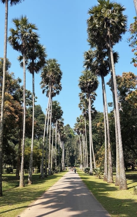 Jardin botanique royal