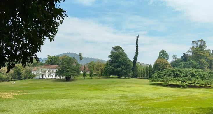 Jardin botanique royal