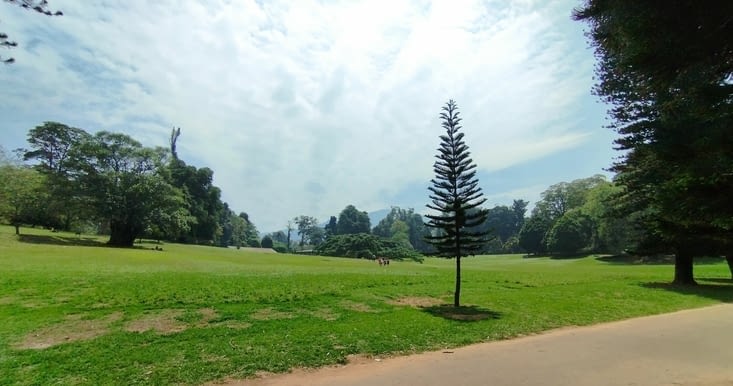 Jardin botanique royal