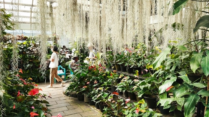 Jardin botanique royal