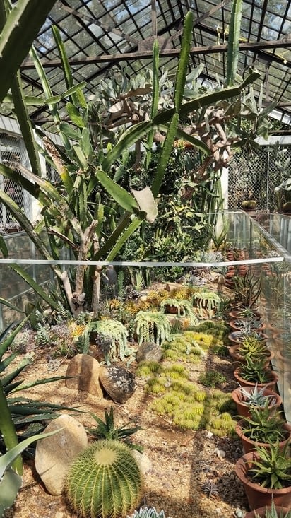 Jardin botanique royal