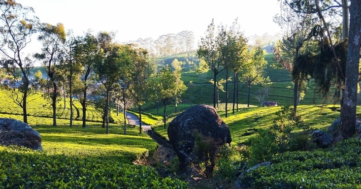 Domaine de Dambatenne