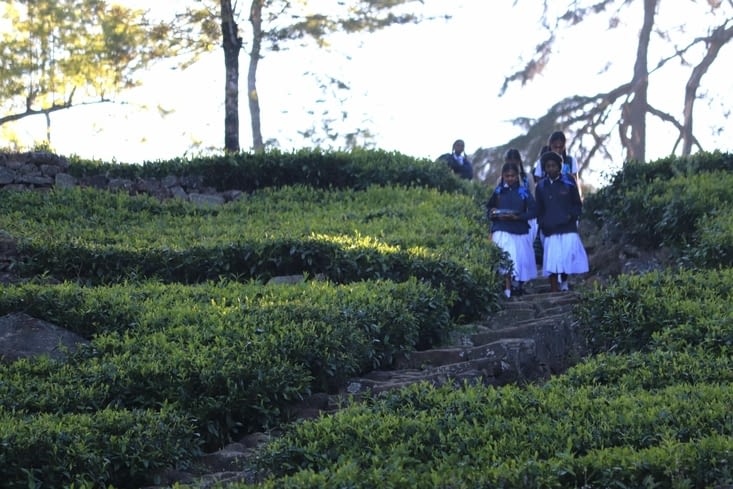 Domaine de Dambatenne