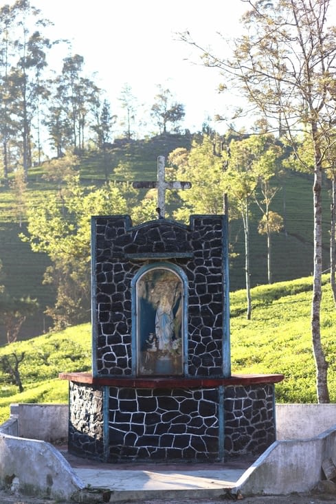 Domaine de Dambatenne