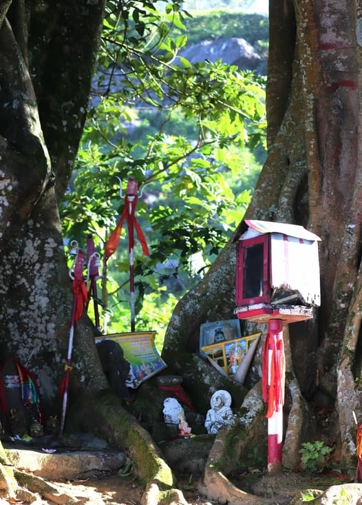 Domaine de Dambatenne