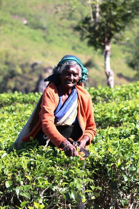 Domaine de Dambatenne