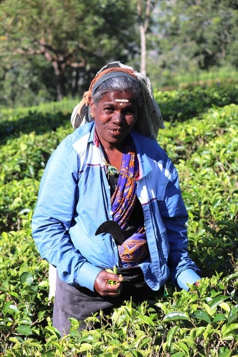 Domaine de Dambatenne