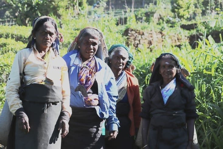 Domaine de Dambatenne