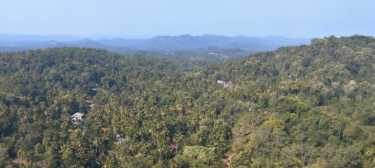 Mulgirigala Raja Maha Viharaya