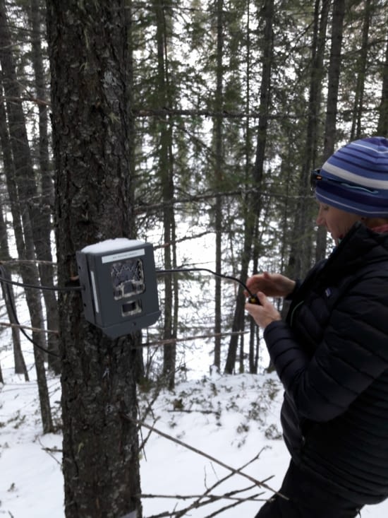 La fameuse Allison en action ;)