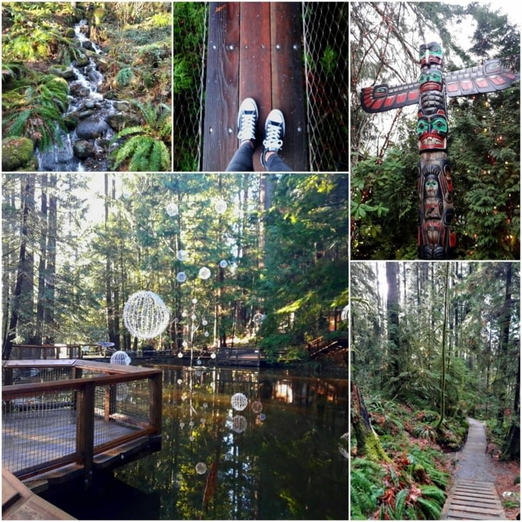 In the rainforest of Vancouver !