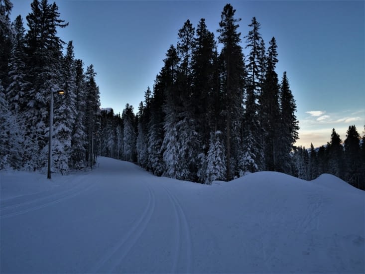 La piste de ski de fond du Nordic Center!
