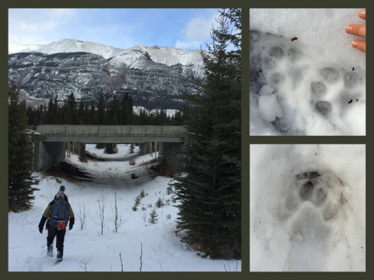 Sortie caméra qui a la classe :)